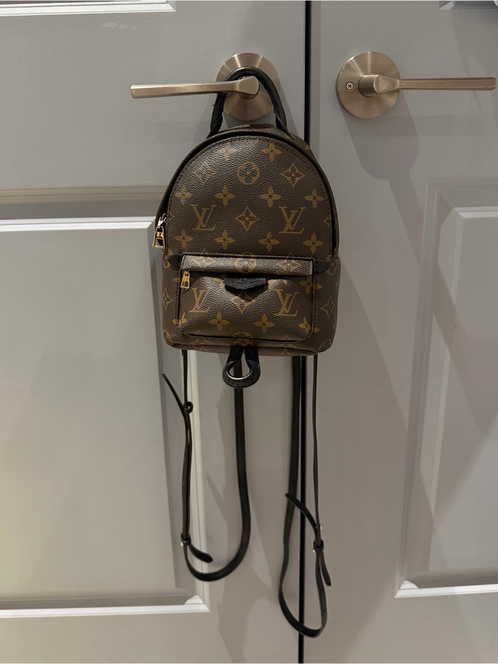 Louis Vuitton Palm Spring Mini Backpack